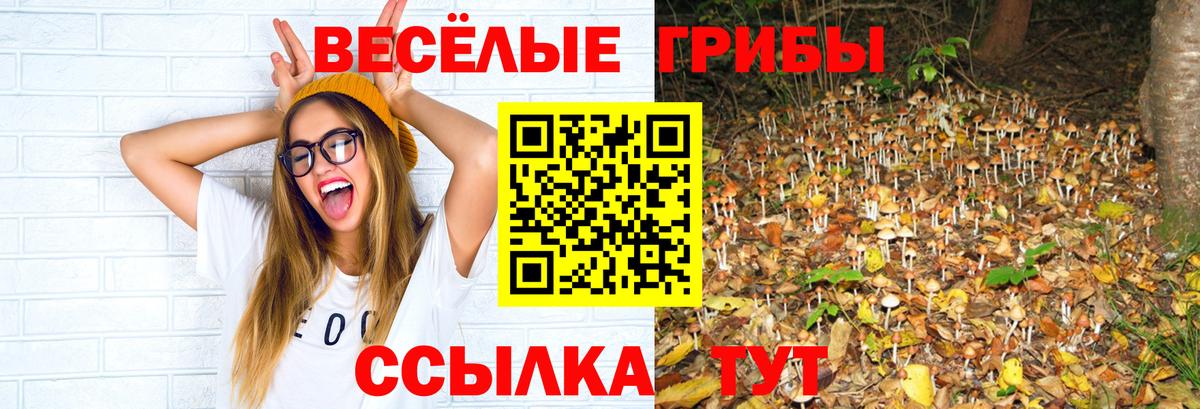 Галлюциногенные грибы прущие грибы  Вход с VPN  Муравленко 